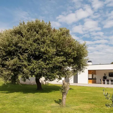 Luxury Deluxe With Heated Pool In Istria Villa *