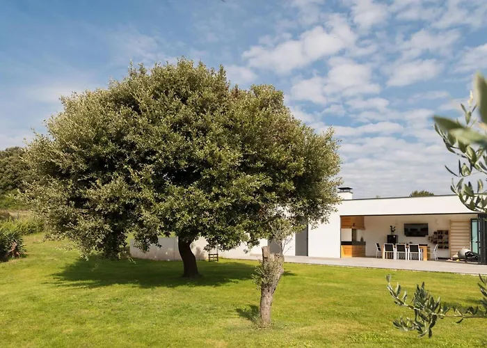 Luxury Deluxe With Private Pool In - Istria Villa *