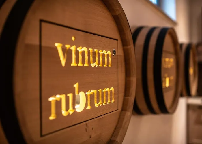 Vila Luxury Deluxe With Private Pool In - Istria *