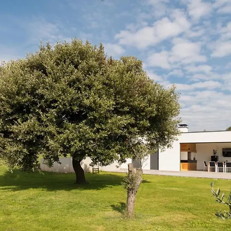 Luxury Deluxe With Private Pool In - Istria Villa